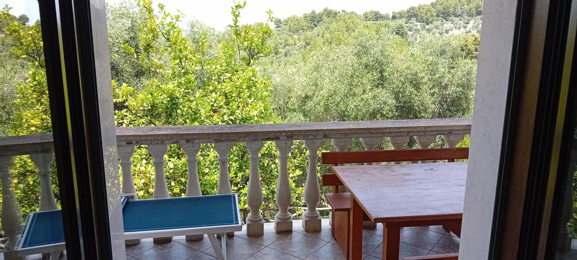 Agriturismo Valle Dei Gelsi Пескичи Номер фото